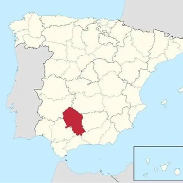 CordobaFanz100
